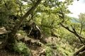 鹿児島が誇る名峰【霧島山・開聞岳】 2つの百名山を踏破する「アウトドアはしご旅」の画像009