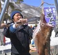 今週末は雪山で海の幸を堪能！「白馬乗鞍 冬の糸魚川シーフード祭り」開催の画像005