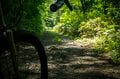 【自転車】「若いときは登れたんだけど……」 グラベルバイクで暑さに負けそうなヒルクライム、砂利道を疾走して少年時代を振り返る50代の夏　長野県｜2026年の画像007