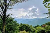 春の “都会ストレス” は山でリフレッシュ！  新宿から約2時間で登山スタート「御岳山・大岳山」 山頂では奥多摩らしい幻想的な霧に包まれて… ハイキングレポ