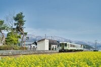 桜に菜の花、スイーツも！ 北信州の春は「サイクル＆トレイン」で大満足の旅【GO！GO！千曲川 飯山線サイクルトレインプラン春】4/5スタート 