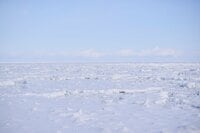 「今年は流氷の当たり年！？」日本屈指の絶景「冬のオホーツク海」での極寒キャンプレポート＜後編＞【絶景キャンプ場ガイド-言葉を失うほどの風景に会いに行こう- vol.29】