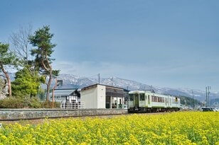 桜に菜の花、スイーツも！ 北信州の春は「サイクル＆トレイン」で大満足の旅【GO！GO！千曲川 飯山線サイクルトレインプラン春】4/5スタート 