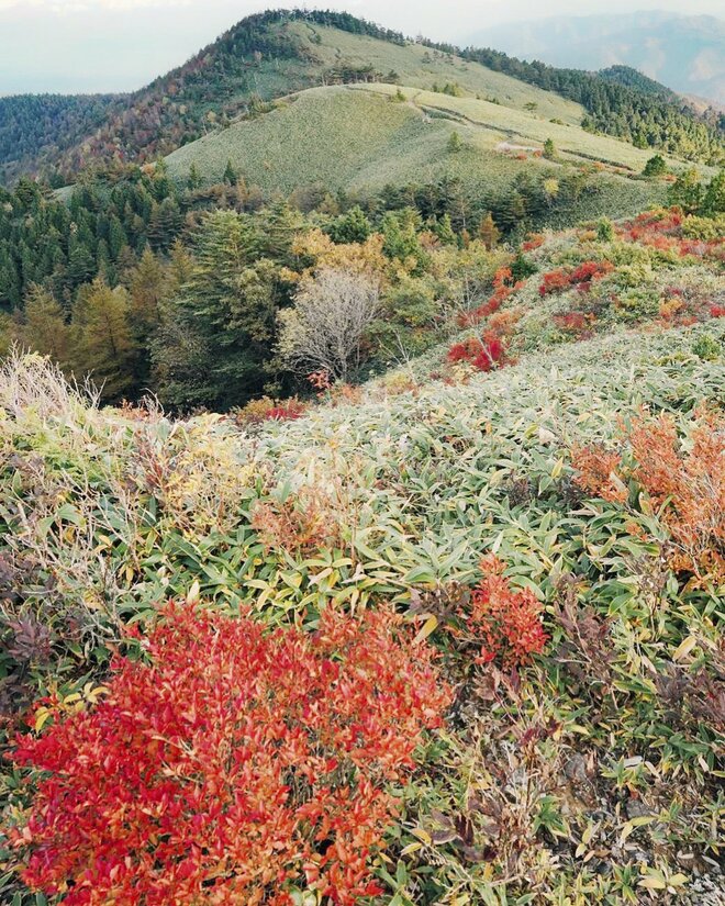 【日本百名山】感動しっぱなし！ 百聞は一見にしかず！ 紅葉の恵那山へ《長野県・岐阜県》2022年の画像010