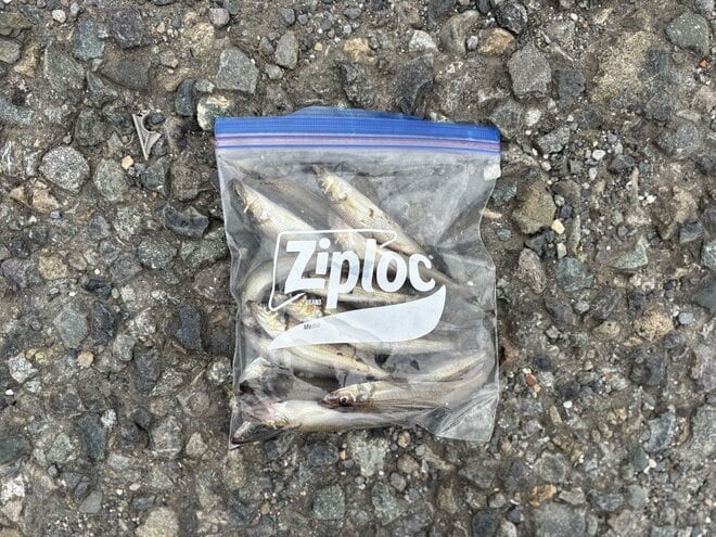 アウトドア系インフルエンサー実践「ジップロック活用術」を大公開！  キャンプ、登山に釣りもコレで楽々パッキングの画像036