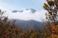 百名山「越後駒ヶ岳」の紅葉はどこが見頃？  10月中旬の枝折峠ルートを歩くの画像013