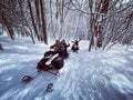 「雪上で遊ぼう」スノーキャットやスノーモービル、日本で唯一の雪上ファットバイクまで【この冬行くべき、体験すべき！ スノーリゾート特集 vol.6】の画像014