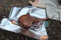 八ヶ岳の麓で極厚「焚き火トマホーク肉」にかぶりつく「贅沢すぎる」グルメキャンプ！ 今年オープン「Windera CAMPGROUNDS」レポートの画像002