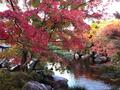 紅葉シーズンは一層の見ごたえあり！  世界遺産「姫路城」と「好古園」 澄みわたる秋空＆日没後はライトアップ！「絶景満喫の1日」の画像003