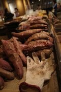 【移住者の実体験に学ぶ】「半農半X」のライフスタイルって実際にどうですか？＜後編＞【耕して、焙煎して、走る男　人口2,800人の村に移住してみました vol.7】の画像001