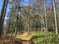 猛暑は去ったけど… 実は難しい「秋の登山」天候＆コンディション！  予想外の「暑かった＆寒かった」ほか「備えたいこと」5選【実体験レポ】の画像008