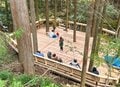「海賊船、森に浮かぶ」 荒野を癒しの場に変えるツリーテラス作り【ユーコンカワイのシン・サウナ村建設記 vol.6】の画像012