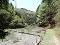 【山火事があった現場へ】2025年4月、住宅地にほど近い「青貝山」で発生した“人為的”災害… 豊かな里山が問う、登山者のマナーとは【大阪府豊能町】の画像014