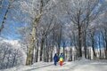 暖冬に雪不足！？ そんな心配がいらない “マルチ”ゲレンデ「白馬岩岳スノーフィールド」へ行ってきた！【全力体験レポート】の画像004