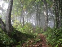 未来へ続くロングトレイルを運営するための2日間『Trail Maintenance Meeting 2024』10月25日(金)－26日(土) 開催！【主催：NPO法人信越トレイルクラブ】