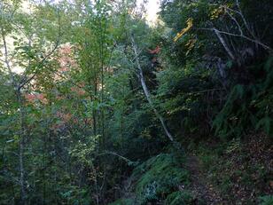 遭難者が後を絶たない「道迷い」が多発する低山… “登山者がいるはずのない方向”から聞こえてくる「足音の正体」とは！？【不思議で怖い「山の体験談」】