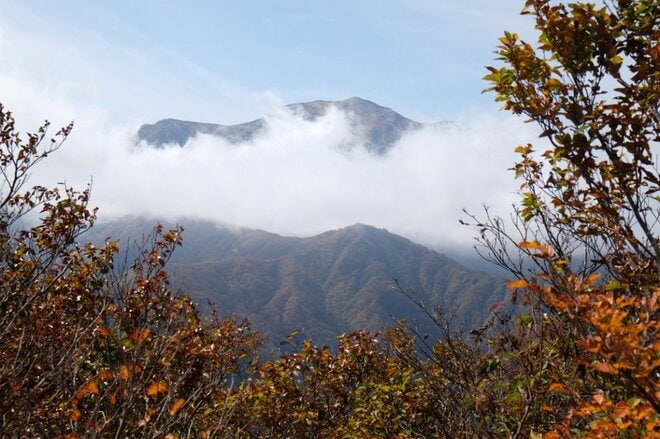 百名山「越後駒ヶ岳」の紅葉はどこが見頃？  10月中旬の枝折峠ルートを歩くの画像013