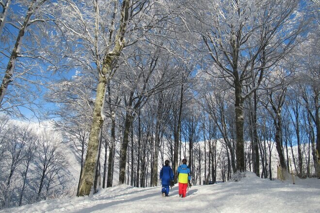 暖冬に雪不足！？ そんな心配がいらない “マルチ”ゲレンデ「白馬岩岳スノーフィールド」へ行ってきた！【全力体験レポート】の画像004