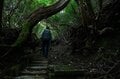 【世界自然遺産・屋久島】九州最高峰の「宮之浦岳」へ！  日本最南端の高層湿原「花之江河」を抜け、洋上のアルプスに臨むの画像009