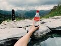 一粒で二度おいしい！ 日帰り温泉登山【癒し編】＜小蓮華山＞の画像020