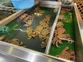 北海道の岸壁で遭遇した驚きの光景！ 車中泊女性アングラー「冨士木 耶奈 の WILD LIFE 」遠征釣行時の楽しみ方【連載 #3 北海道 釧路編】の画像007