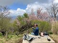 【首都圏近郊ハイキング】5月でもまだ花見ができる山「西丹沢・檜洞丸」への画像008