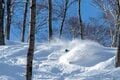 【斑尾高原スキー場】インバウンドも引き寄せる「豪雪エリア」の極上滑走区間（長野県）の画像004