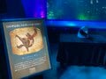 意味がわかると怖い “生き物の秘密”  池袋サンシャイン水族館 夜間特別営業「TERROR Night Aquarium」開幕（編集部レポート）の画像007