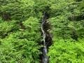 都心から2時間半でアクセスOK「三頭山」 癒しの森・圧巻の大滝・山頂からの展望！  森林浴ハイキング「現地レポ」の画像002