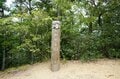 この世とは思えない美しさ「曼殊沙華」 国内最大級の500万本の彼岸花が“巾着田”に咲きほこる【埼玉県・日高市】の画像012
