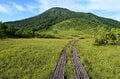“まるっと楽しむ 尾瀬の山歩き” vol.1【福島県 檜枝岐村】 江戸時代から続く “歌舞伎の村”！  入山口からたった40分で花の宝庫「大江湿原」への画像005