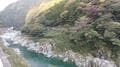 「石鎚山・吉野川・仁淀川」現地在住ライターが教える10月から11月の四国旅行で「絶対紅葉を外さない」ための基礎知識の画像002