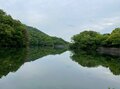 【夏の低山は早朝勝負！】梅田駅からわずか小一時間の国見山＆枚方の最高峰 “サンドイッチ山” で「サクっとモーニング歴史山歩（サンポ）」【里山アドベンチャー！ソトアソ日和 vol.5】の画像009