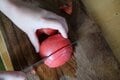 【冬キャン向きのパーティメニュー】炒めないから簡単！  失敗知らずの「マルゲリータパエリア」【季節の外ごはん vol.57】の画像005