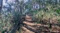 【ちょっと上手くなっちゃうかも！？】スマホで撮る「登山記録の写真」一度は試したい「2つの簡単な撮影テクニック」登山道から実践レポートの画像004