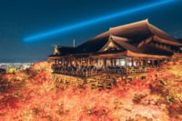 本当は教えたくない！  紅葉の京都「夜のライトアップ絶景」スポットめぐり術！ 「一晩で数か所もOK」 可能にする宿＆手段とは？  2023年・実践レポ