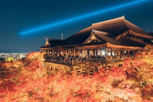 本当は教えたくない！  紅葉の京都「夜のライトアップ絶景」スポットめぐり術！ 「一晩で数か所もOK」 可能にする宿＆手段とは？  2023年・実践レポ