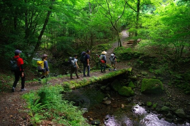 【歩き旅好きは必見】低山トラベラー的「熊野古道の歩き方」＜熊野古道の歩き方 vol.1＞の画像003