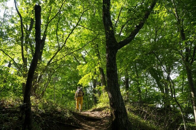 【6月に歩きたい首都圏近郊ハイキングルート】梅雨時の覚えておきたい新宿から1時間半の名低山「高川山」の画像005
