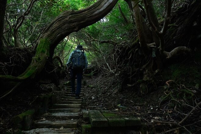 【世界自然遺産・屋久島】九州最高峰の「宮之浦岳」へ！  日本最南端の高層湿原「花之江河」を抜け、洋上のアルプスに臨むの画像009