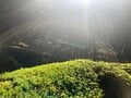 八ヶ岳・最南端に位置する「編笠山」で体験する、パノラマ絶景！  早出で見たい「雲海＆富士山のコラボ」も大当たりで大満足「登山レポ」の画像003