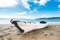 まるで折り紙のように組み立て＆収納できるカヤック！  軽量・パッカブルで扱いやすい【UPI「ORU KAYAK（オルカヤック）」】3モデルの画像002