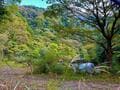 箱根「宮ノ下」界隈の穴場的コース「堂ヶ島渓谷遊歩道」レポ！  朝さんぽ1時間＆足湯カフェで「絶景スイーツ」堪能！  紅葉観光でも訪れたいスポットの画像001
