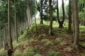【NHK大河『豊臣兄弟！』ゆかりの城】実にしつこい… 光秀が築いた「丹波 二大山城」のひとつ「丹波国・周山城〈前編〉」（京都府京都市）【戦国の山城を攻める vol.09】の画像007