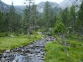 絶景スポット満載！ 1泊2日で歩き尽くす「アヴィック山自然公園」の登山道（前編）【ブーツの国の街角で vol.28】の画像014
