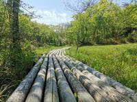 兵庫県最大・天然記念物の「丸山湿原」！  楽しむための「8つのルール」と眺望最高の「大岩ヶ岳」の見どころは？