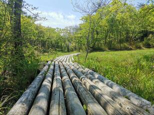 兵庫県最大・天然記念物の「丸山湿原」！  楽しむための「8つのルール」と眺望最高の「大岩ヶ岳」の見どころは？