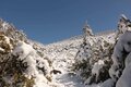 雪山ビギナーでもOK！ 「北八ヶ岳」絶景スノートレッキング「渋の湯登山口」から「高見石展望台」往復約4時間「ハイキングレポ」の画像003