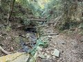 冬はつとめて！  夜景スポットとして人気の「摩耶山」で朝活ハイキングしてみました！ 「掬星台」からの絶景レポ【兵庫県神戸市・六甲山系】の画像001