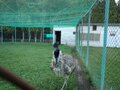 キャンプブームに翳り！？  予約が取りやすくなった「子どもと遊べるキャンプ場・遊園地」 【2024年 北海道岩見沢市】の画像007